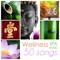 Healing Water - Wellness lyrics