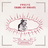 Twelve Tribe of Israel: Anthology artwork