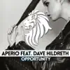 Opportunity (feat. Dave Hildreth) - Single album lyrics, reviews, download