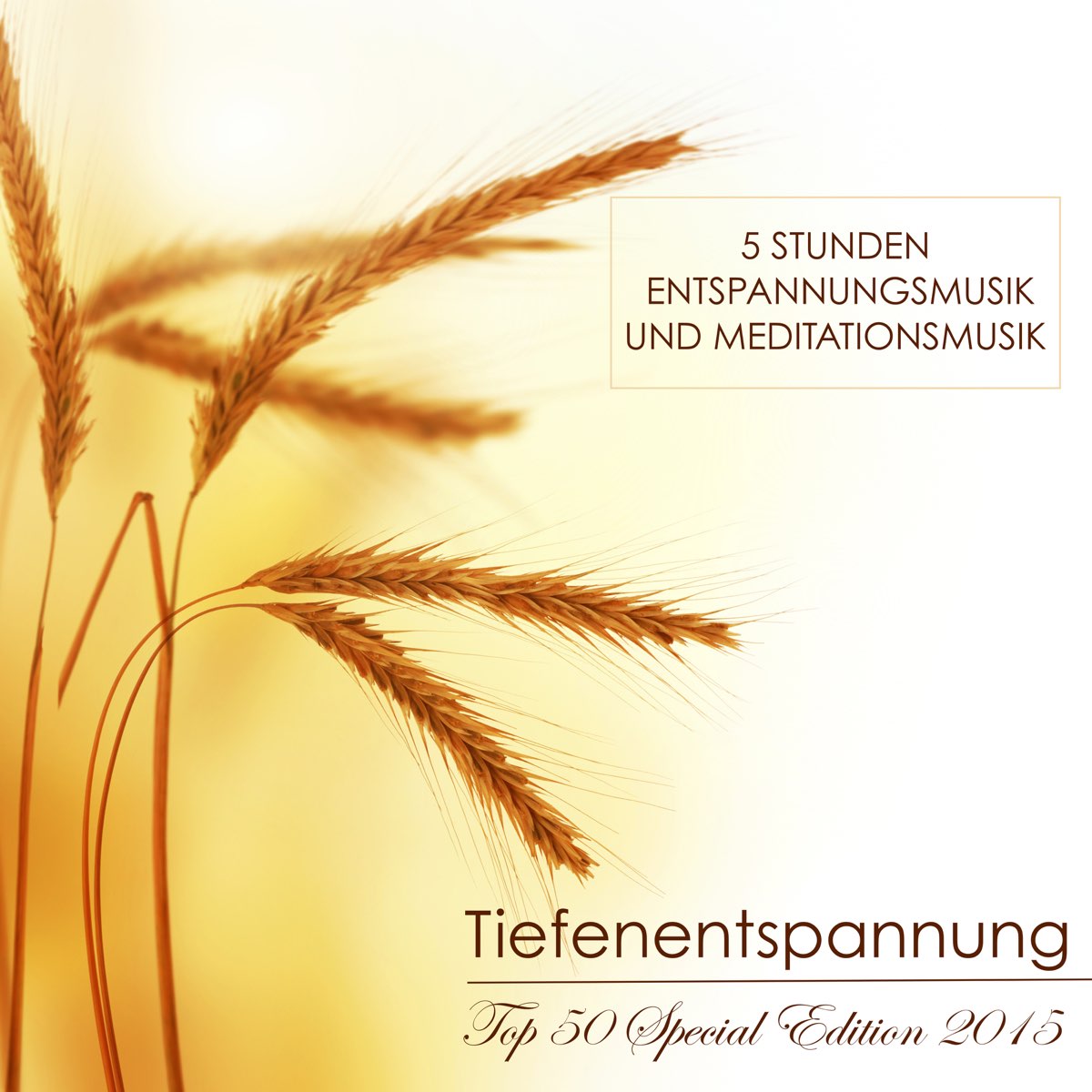 Apple Music에서 감상하는 Tiefenentspannung Atmospheres의 Tiefenentspannung Top 50 Special Edition 2015 - 5 Stunden... 