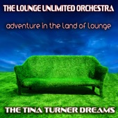 Adventure in the Land of Lounge (The Tina Turner Dreams) artwork