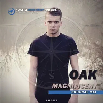 Magnificent - Single by Oak album reviews, ratings, credits