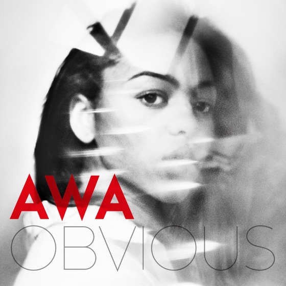 Cover artwork for Obvious