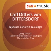 Keyboard Concerto in A Major, Kr. deest: I. Allegro molto artwork