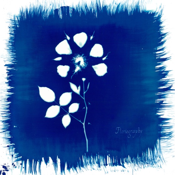 Cover artwork for JMZ