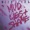 The Wild Seeds - I'm Sorry, I Can't Rock You All Night Long
