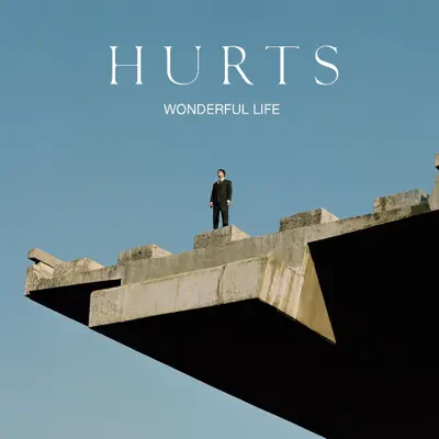 Wonderful Life (Arthur Baker Remix) - Single - Hurts
