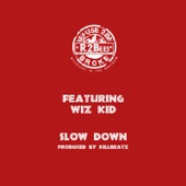 Slow Down (feat. Wiz Kid) artwork