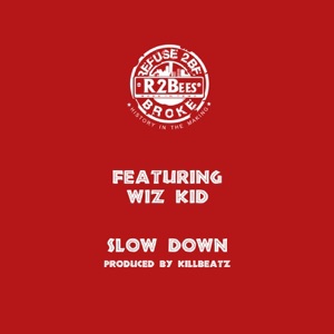 Slow Down (feat. Wiz Kid) - Single