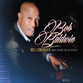 Mellowonder / Songs in the Key of Stevie - Bob Baldwin