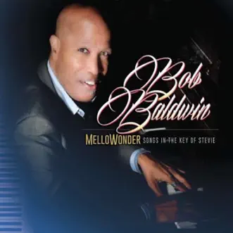 Love's Light in Flight / Love Trippin' by Bob Baldwin song reviws