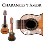 Charango y Amor artwork