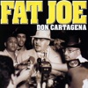 Fat Joe - The Crack Attack