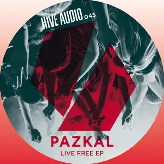 Live Free by Pazkal song reviws