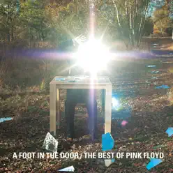 A Foot in the Door: The Best Of - Pink Floyd