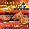 Alpen-Welle (Folge 1)