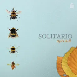 Aprendí - Single - Solitario