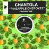 Stream & download Pineapple Cherokee - Single