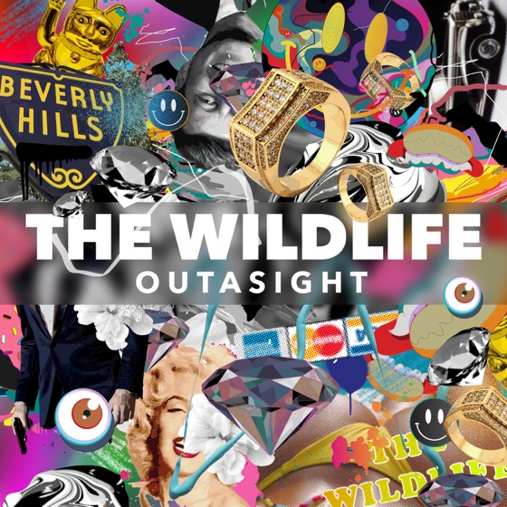 Cover artwork for The Wild Life