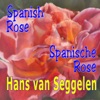 Spanish Rose - Single