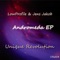 Andromeda - Low_Profile & Jens Jakob lyrics