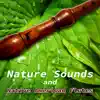 Nature Sounds and Native American Flutes – Relaxing Sounds of Water, Rain, Birds Singing for Massage, Yoga Classes, Spas & Wellness, Deep Sleep album lyrics, reviews, download