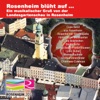 Rosenheim blüht auf, 2015