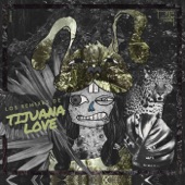 Tijuana Love (Los Remixes) artwork