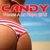 Vamos a la Playa 2015 - EP