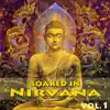 Soaked In Nirvana, Vol.1 album lyrics, reviews, download