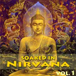 Soaked In Nirvana, Vol.1 by Dune album reviews, ratings, credits