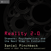 Daniel Pinchbeck - Reality 2.0: Shamans, Psychedelics, and the Next Step in Evolution artwork