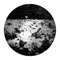 Black Lucy Confused in the Dream (Darkotic Remix) - Ayako Mori lyrics