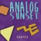 Zoinks! - Analog Sunset lyrics