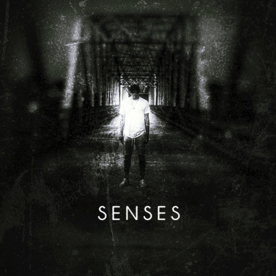Cover artwork for Senses