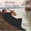 Moonlite Over Naples - Single