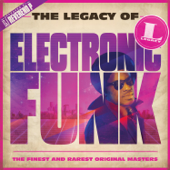 The Legacy of Electronic Funk - Multi-interprètes