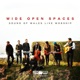 WIDE OPEN SPACES cover art