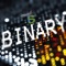 Binary - T.S lyrics