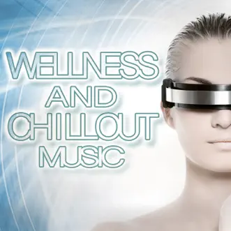 Wellness and Chillout Music by Various Artists album reviews, ratings, credits