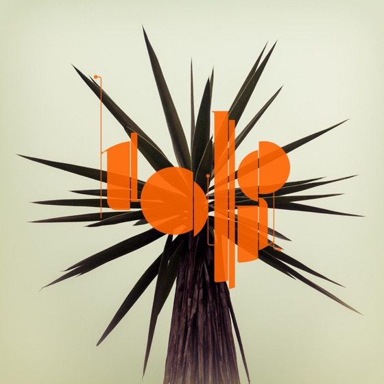 Cover artwork for Lean into the Gravity