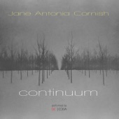 Jane Antonia Cornish: Continuum artwork