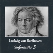 Ludwig van Beethoven - Sinfonia No.  5 artwork