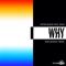 Why (feat. Maya) [Mike Bugout Remix] artwork