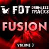 Free Drumless Tracks: Fusion, Vol. 3 - EP album lyrics, reviews, download