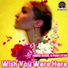 Wish You Were Here album lyrics, reviews, download