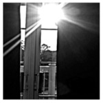 Stillness In Movement