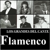 Los Grandes del Cante Flamenco - Various Artists