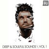 Deep & Soulful Sounds - Vol. 1 artwork