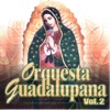 Orquesta Guadalupana - Santa María Del Camino